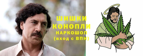 крисы Богородск