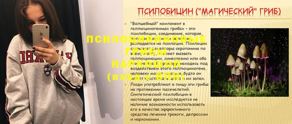 крисы Богородск