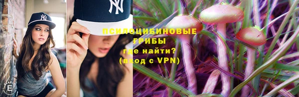 ALPHA-PVP Богданович