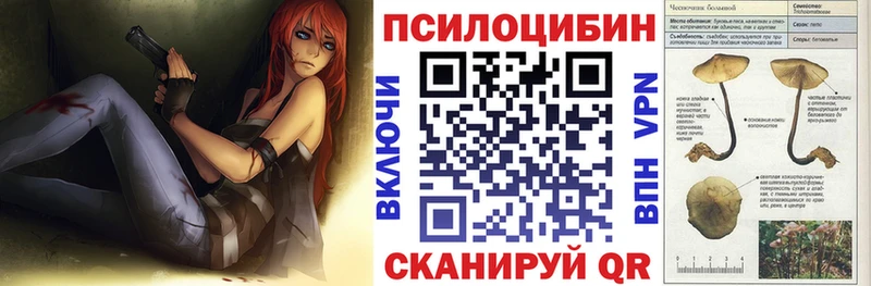даркнет сайт  Махачкала  Псилоцибиновые грибы Psilocybine cubensis 